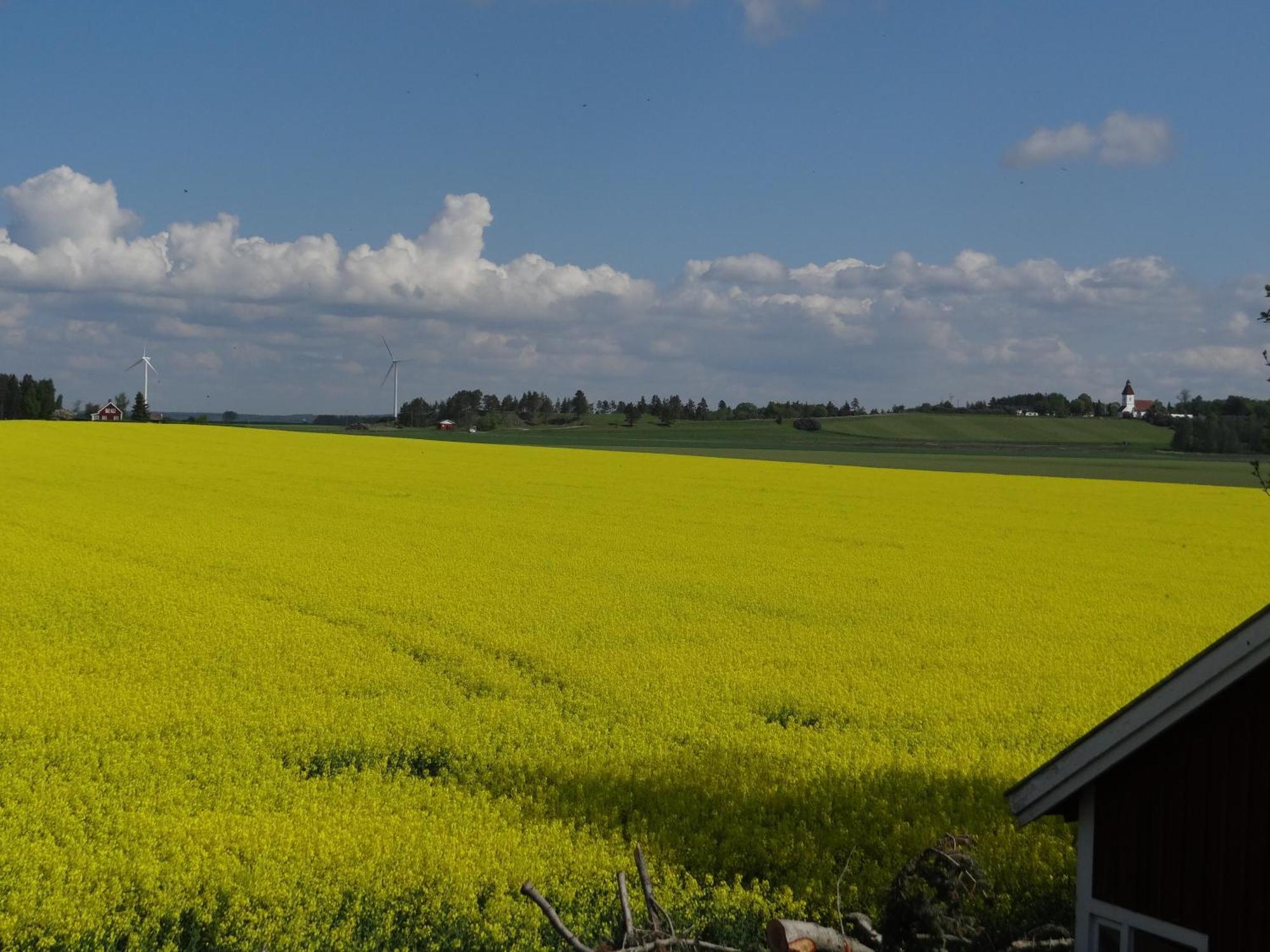 Pilgarden Fornasa, Draengstugan Luaran gambar